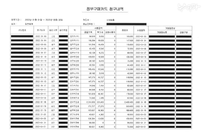 ▲ 법무부가 공개한 업무추진비 정부구매카드 사용 내역서. 가맹점 상호와 업종구분을 먹지로 가려놨다. 