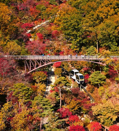 온라인 커뮤니티