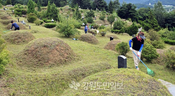 ▲ 추석을 앞둔 춘천 신북읍의 한 공원묘원에서 벌초 하는 모습. [강원도민일보 자료사진]