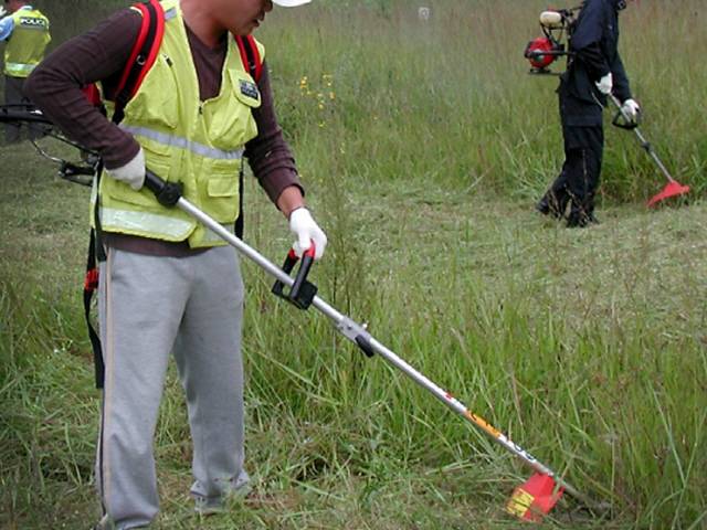 ▲ 벌초하는 모습 [강원도민일보 자료사진]