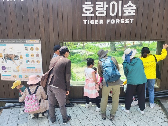 가든스테이 프로그램에 참가해 호랑이숲을 구경하는 관람객들