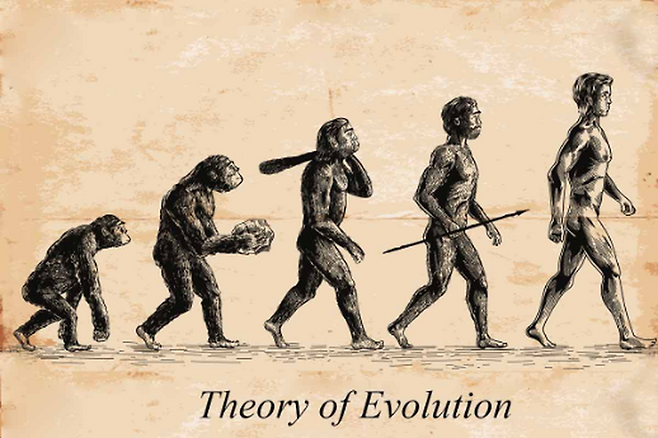 진화론을 설명하는 잘못된 예시라고 생각합니다. 진화는 이렇게 단순하게 진행되지 않습니다. 원숭이가 진화해 사람이 됐다는 표현도 잘못된 것이고요.