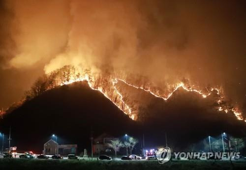 민가 위협하는 양구 산불.[연합뉴스 자료 사진]