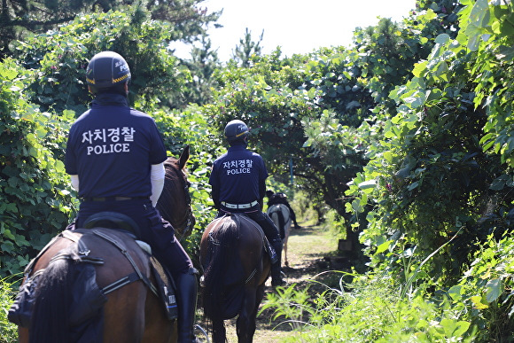 박기남 제주특별자치도자치경찰단장(앞쪽 말)이 기마대원과 함께 올레길 치안활동을 펼치고 있다.  [사진=제주특별자치도자치경찰단]