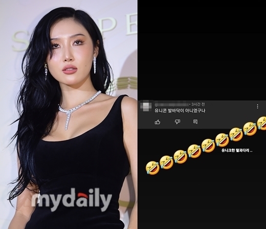 화사(왼쪽)가 공개한 네티즌의 댓글 / 마이데일리, 걸그룹 마마무 멤버 화사
