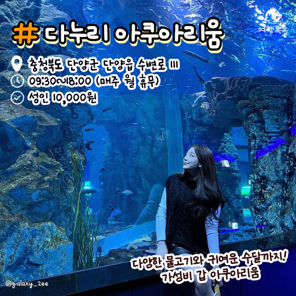 다누리아쿠아리움 / ⓒ여행톡톡