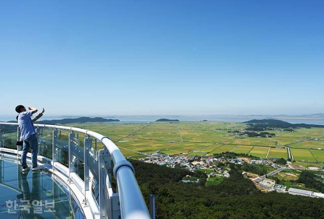 화개산전망대 투명유리 스카이워크 아래로 대룡시장과 넓은 들판이 보인다.