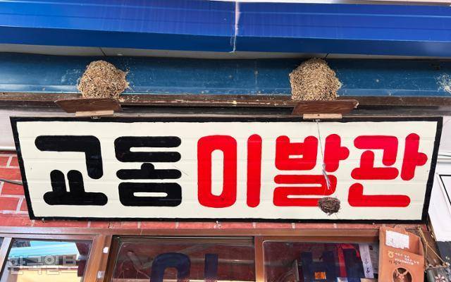 국수를 팔고 있는 교동이발관 간판 위에 제비집 2개가 덩그러니 남아 있다.