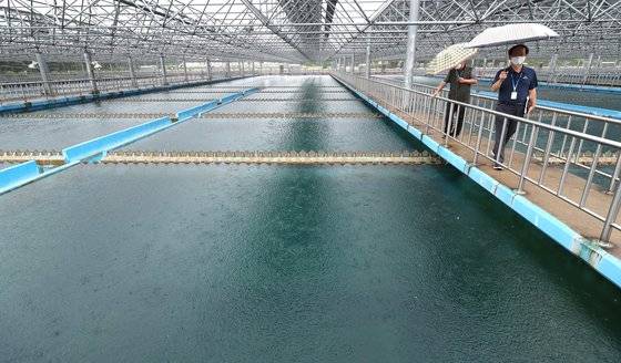 가정에 수돗물을 공급하는 정수장 자료사진. 뉴스1