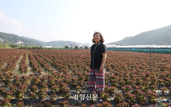 강원도 횡성군 둔내면에서 농사를 짓는 이귀자씨가 지난달 22일 자신의 밭에서 포즈를 취하고 있다.  한수빈 기자