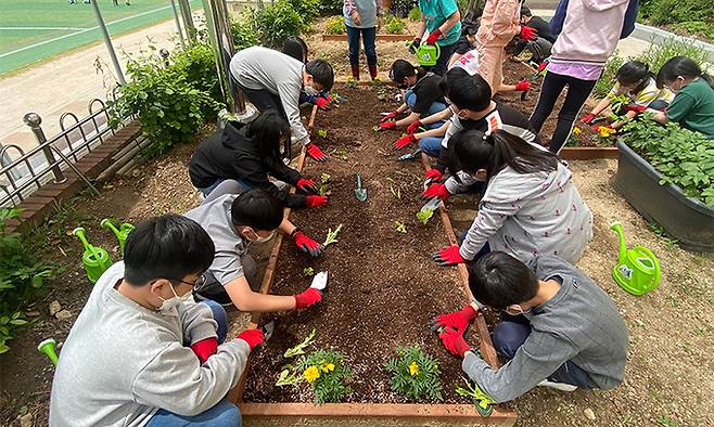 부산농업기술센터에서 운영하는 도심텃밭 가꾸기 프로그램에 참여한 어린이들이 직접 꽃과 식물을 심는 체험을 하고 있다