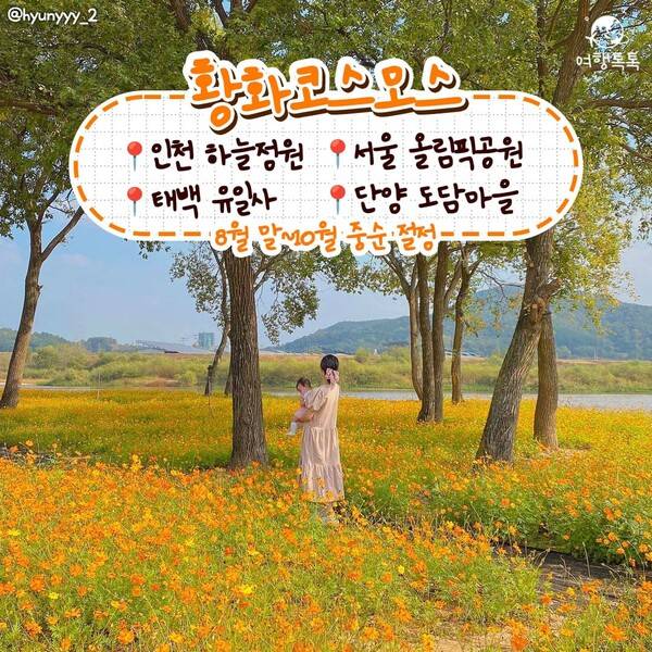 가을 데이트 코스 /&nbsp;@hyunyyy_2&nbsp;