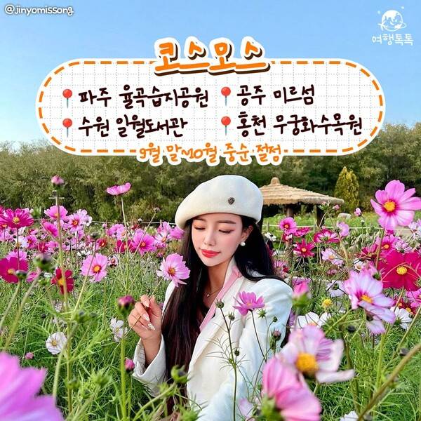 가을 데이트 코스 /&nbsp;@jinyomissong&nbsp;