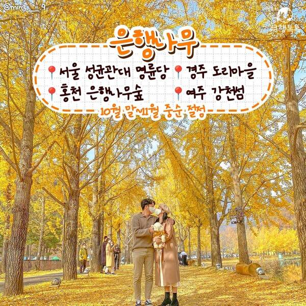 가을 데이트 코스 /&nbsp;@ming.___.9
