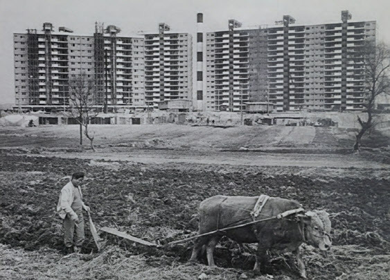 1978년 압구정동 모습.(사진=강남 40년 영동에서 강남으로 발췌)