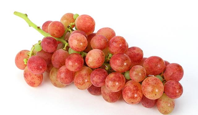 껍질에 불꽃이 터지는 듯한 독특한 무늬가 나타나는 포도 신품종 ‘슈팅스타’. 농촌진흥청