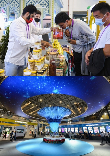 Exhibitors are introducing exhibits to visitors at the 29th China Yangling Agri High-Tech Fair. Visitors learn about specialty agricultural products at the agricultural exhibition area of the SCO countries.