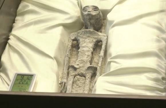 12일(현지시간) 멕시코 의회가 연 청문회에서는 '인간이 아닌 존재'의 시신이라고 주장하는 물체가 등장했다. [사진= JTBC]