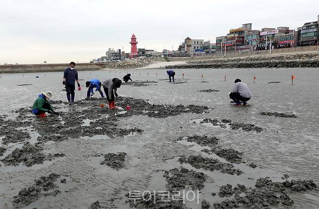 오이도 휴양마을 갯벌체험 프로그램