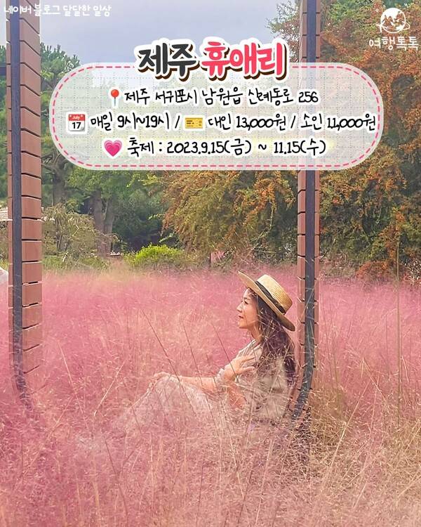 핑크뮬리 명소 추천 / ⓒ여행톡톡