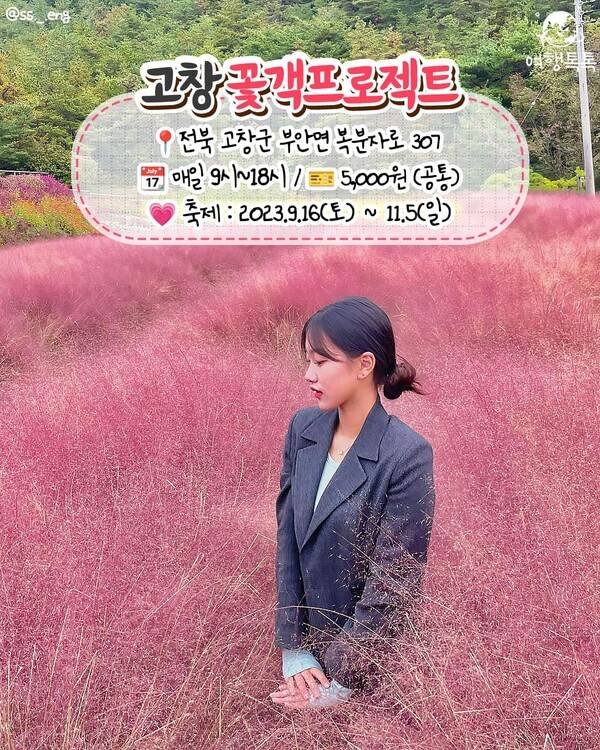 핑크뮬리 명소 추천 / ⓒ여행톡톡