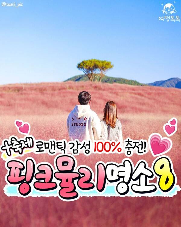 핑크뮬리 명소 추천 / ⓒ여행톡톡