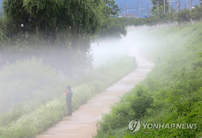 강원 춘천시 소양강 산책로에 짙은 안개가 내리깔려 있다. [연합뉴스 자료사진]