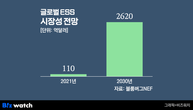 글로벌 ESS 시장성 전망 /그래픽=비즈워치