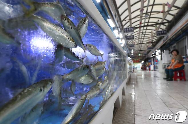 29일 부산 강서구 명지시장활어센터에서 상인이 손님을 기다리고 있다. 2023.8.29/뉴스1 ⓒ News1 윤일지 기자