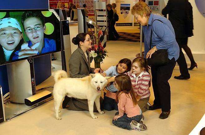 지난 2005년 세계적인 애견대회 '크러프츠 도그쇼'에 마련된 삼성 부스에서 관람객들이 진돗개를 살펴보는 모습ⓒ삼성