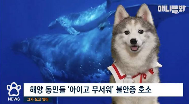 ▲ 2023년 9월15일 오전 8시 업로드된