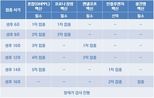 반려견 예방접종 종류와 접종 시기ㅣ출처:하이닥