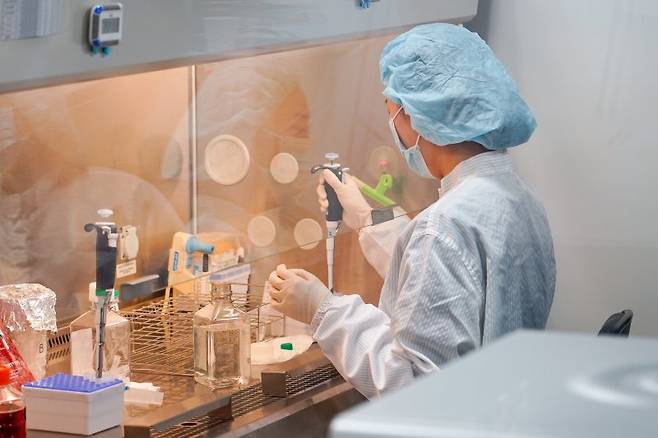 연세사랑병원 의료진이 줄기세포 연구를 진행하고 있다.