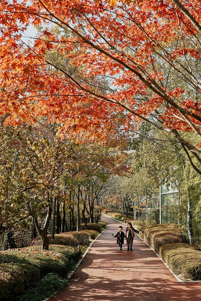 롤링힐스 호텔의 가을 산책로