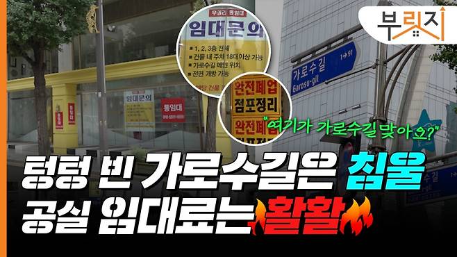 싸게 내놓느니 비워둔다?…'텅텅' 가로수길, 임대료 안 내리는 이유[부릿지]