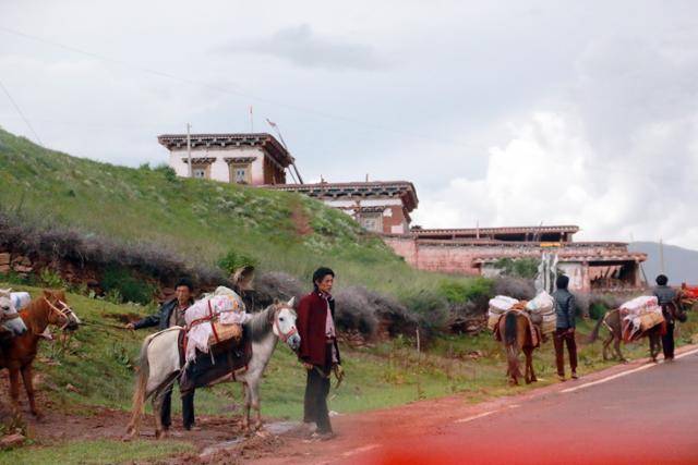 망캉 가는 길에서 본 말과 청년들.ⓒ최종명