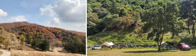 라까시나 이태리 캠핑장 / 사진=공식 인스타그램 @querencia_lacascina_italy