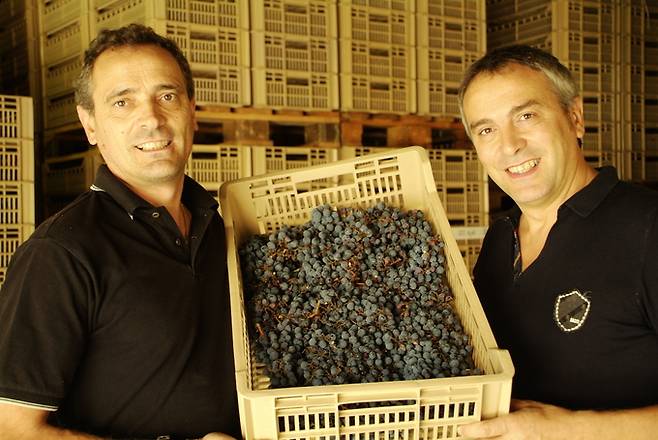 쟌카를로(왼쪽)와 주세페 니콜리스.