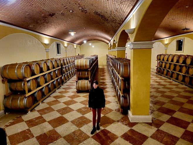 니콜리스 셀러.