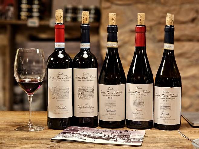 산타마리아 발베르데 와인들.