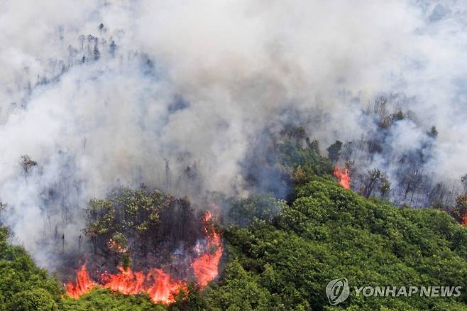 불타는 인도네시아 산림 [로이터 연합뉴스 자료사진. 재판매 및 DB 금지]