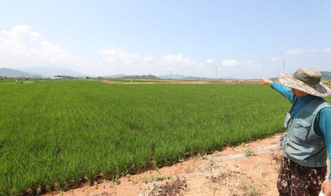 기사 내용과 무관. (사진=연합뉴스)