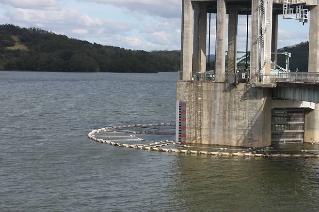 경북 안동댐 수위가 158.22m 역대 두번 째로 높아졌다. 사진은 안동댐이 축조된 인근의 취수탑. /권광순 기자