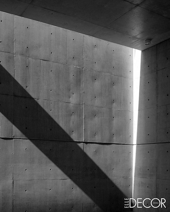 안도 타다오가 직접 촬영한 포토그래피 시리즈 중 한 컷. 빛과 그림자의 극명한 대조.