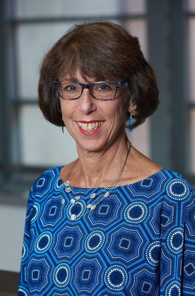 린다 알랜은 현재 뉴욕시립대 버룩 칼리지 경영대 교수로 재직 중이다. 리스크 관리, 신용위험, 금융시장과 은행 규제의 진화 및 금융기관 조직 전문가로 저명한 학술지에 여러 영향력 있는 논문을 출판했다. 여러 금융저널의 부편집장으로 활동했고 현재 'Journal of Credit Risk' 편집장으로 활동 중이다. 뉴욕대에서 재무학 박사를 취득했다.