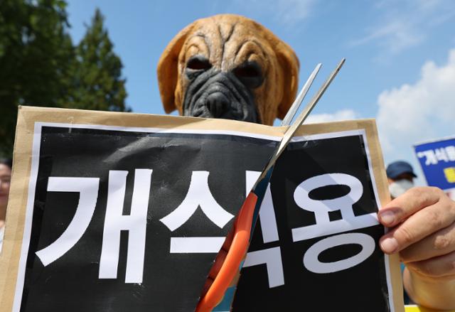 이원복 한국동물보호연합 대표가 지난달 31일 서울 여의도 국회 앞에서 열린 개식용 금지법의 국회 연내 통과를 촉구하는 기자회견에서 개식용 반대 퍼포먼스를 하고 있다. 뉴스1