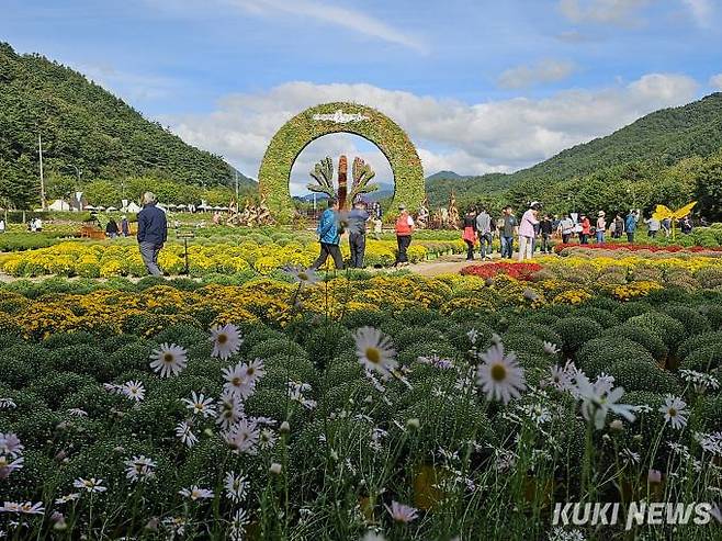 24일 주말을 맞아 강원 인제군 북면 용대관광지 일대에서 열린 '인제 가을꽃축제'에 가을 정취를 즐기려는 행락객들로 북적이고 있다.