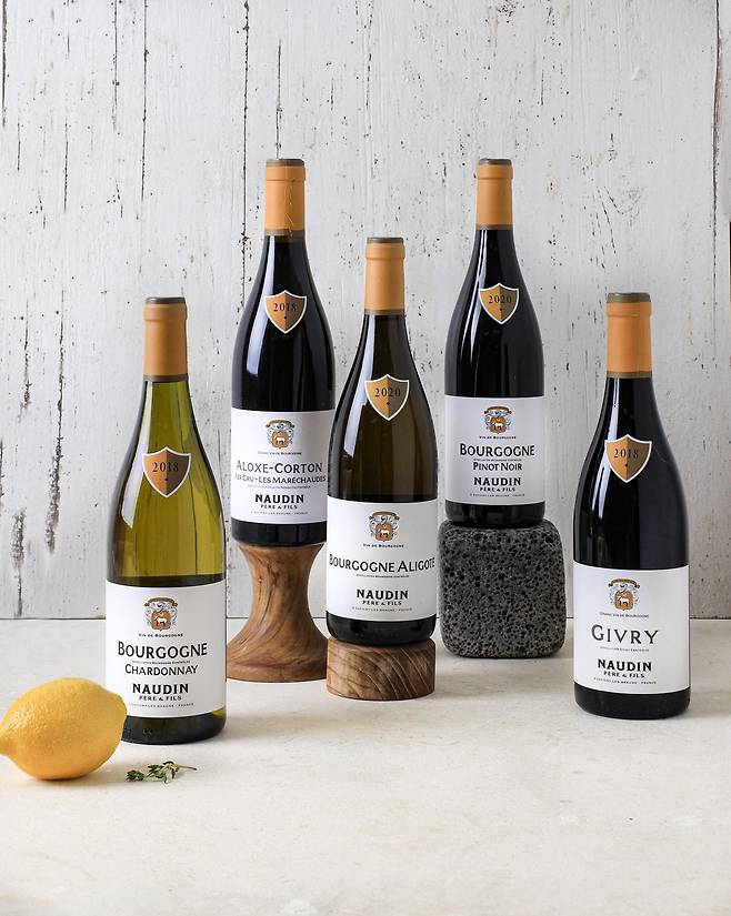 비노에이치 와인 선물세트 [현대그린푸드 제공. 재판매 및 DB 금지]