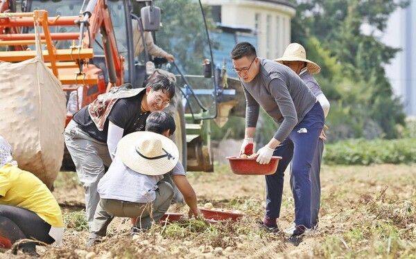 김동선 한화갤러리아 전략본부장(사진 오른쪽)이 지난 7월 한국 파이브가이즈에 감자를 공급하는 강원 평창군 산지에서 농민들과 함께 감자를 수확하고 있다. [사진제공=한화갤러리아]