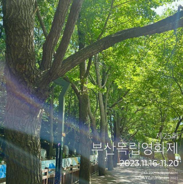 '부산독립영화제' 포스터. 부산독립영화협회 사회관계망서비스 캡처